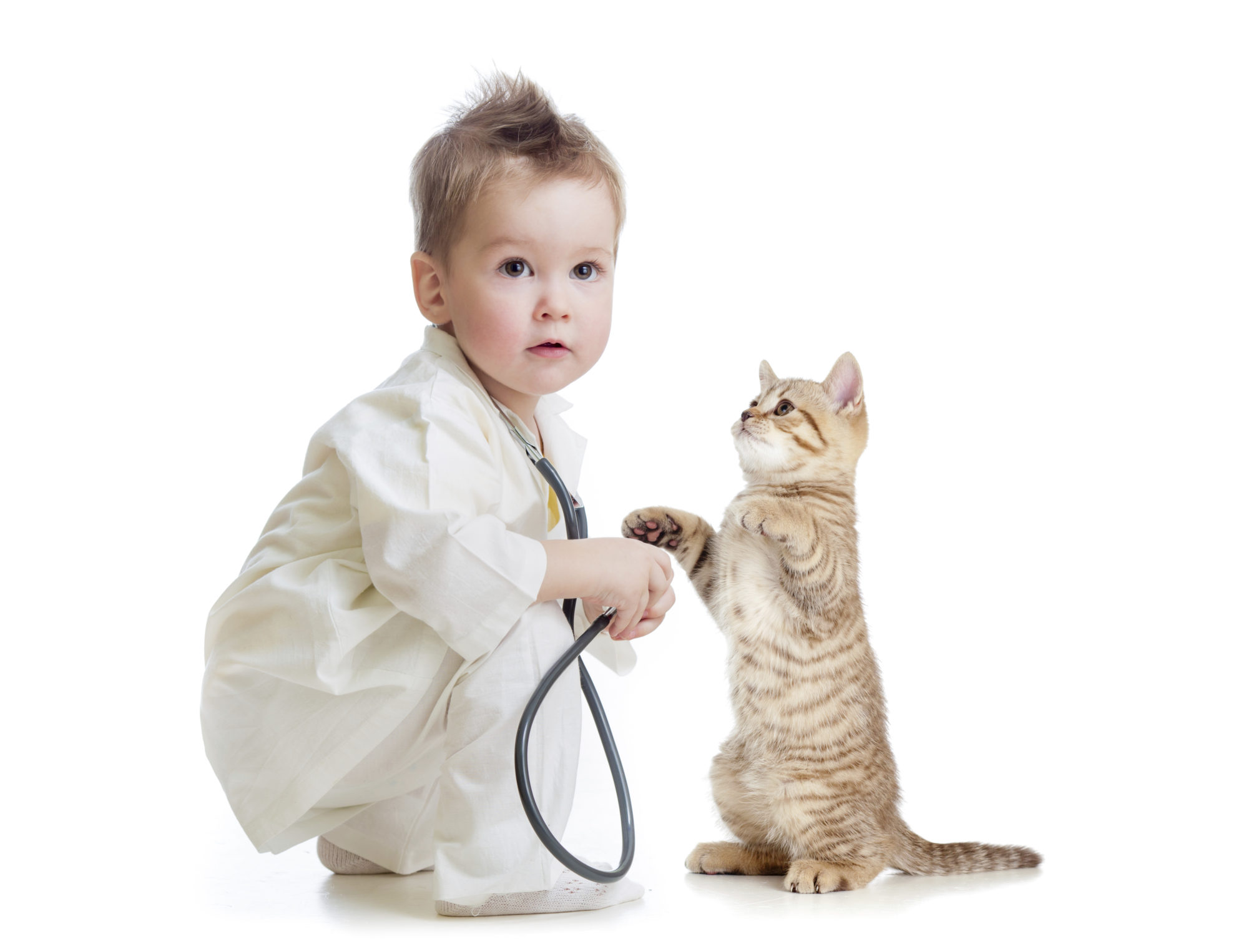 kid or child playing doctor with stethoscope and cat