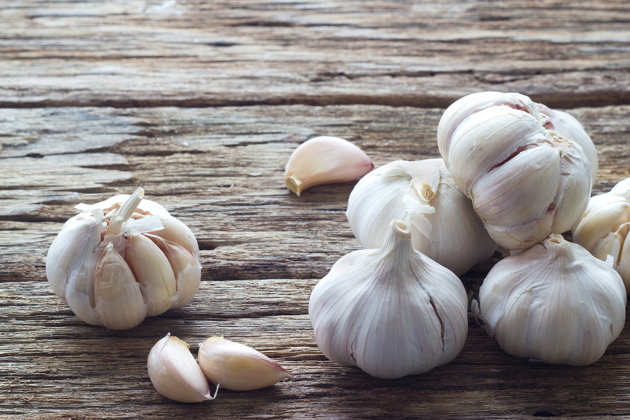 garlic-season-2015