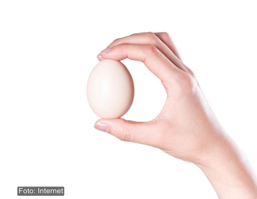watermarked-hand holding egg.jpg.838x0_q67_crop-smart