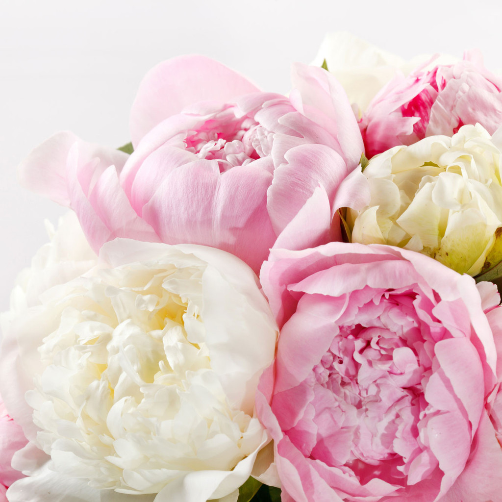 Pure-Peonies-Mothers-Day-Bouquets-2016-square_1024x1024