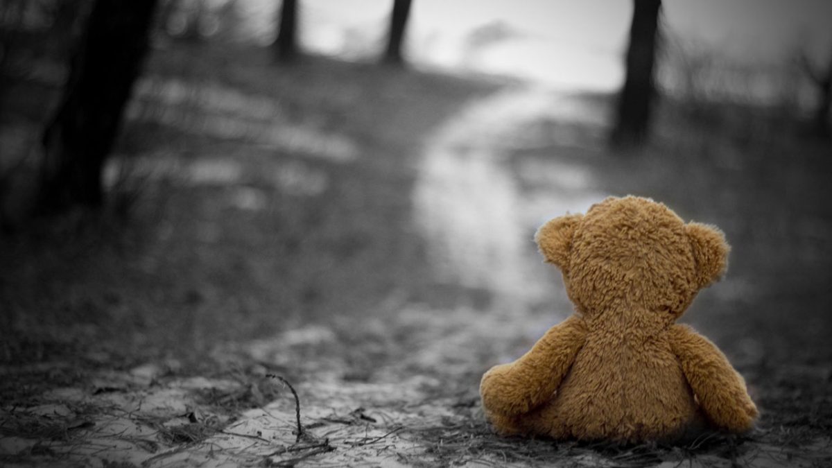 Bear_baby