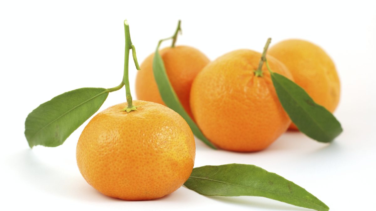 Afourer-Mandarin