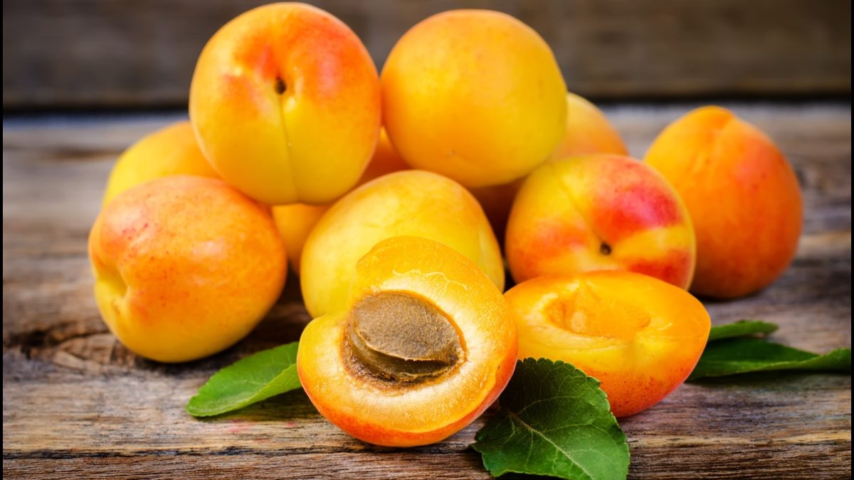 Fun-Facts-of-Apricots