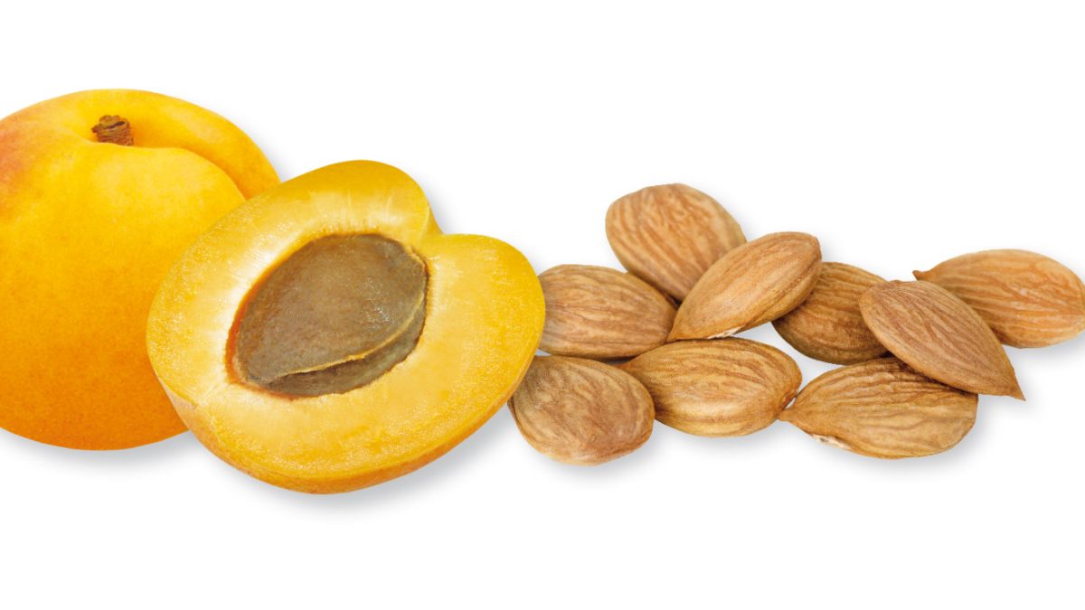apricot-kernel