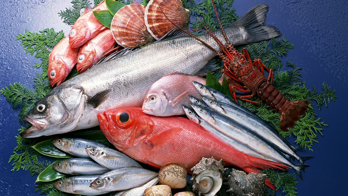 fresh-fish1