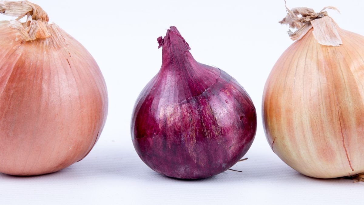 onion-14632381968gt
