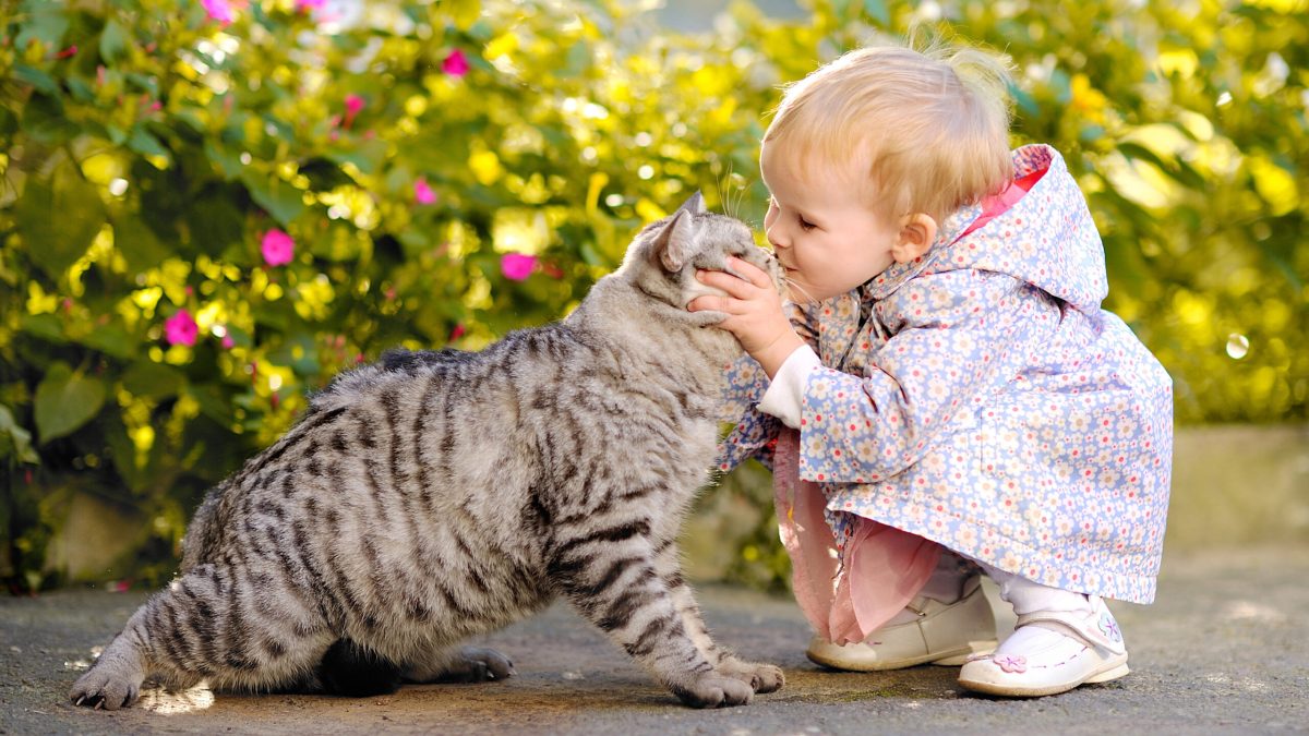 pet 2