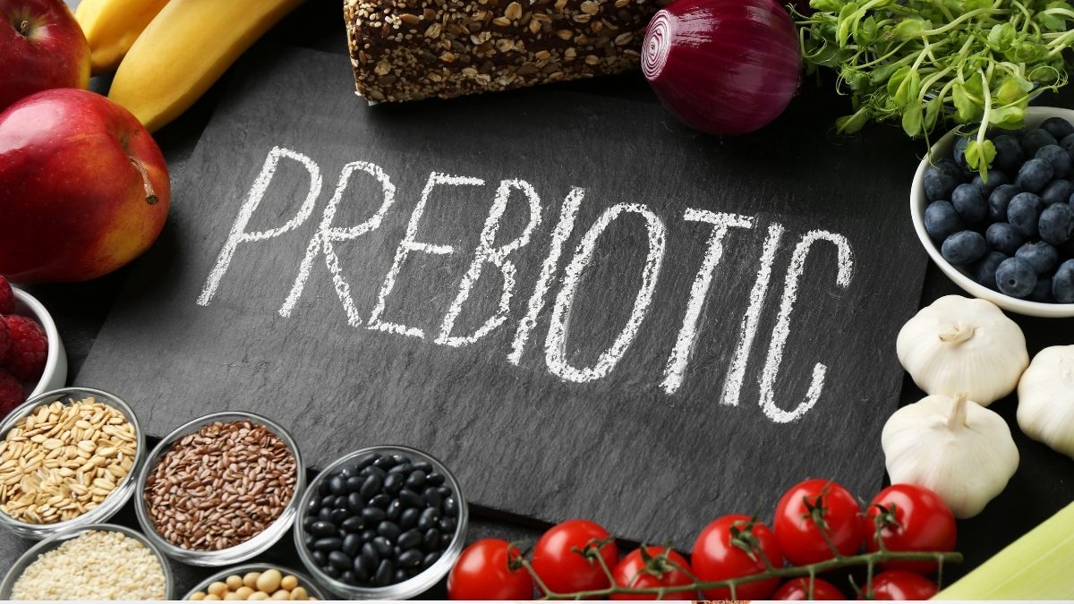 prebiotic